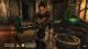 The Elder Scrolls IV: Oblivion: Shivering Isles PC 1