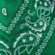 Art of Polo Bandana Classic rebel NoSize 4