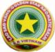 Maść Tygrysia Kocia Gwiazda rozgrzewająca Golden Star Balm 4g S.R VIETNAM 1