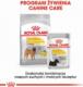 Royal Canin CCN Dermacomfort Medium dla psa 12kg 6