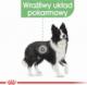 Royal Canin Royal Canin CCN Digestive Care Medium pies 12kg 2