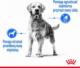 Royal Canin Light Weight Care sucha dla psa 12 kg 4