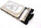Dysk serwerowy IBM 7450 PRO 300GB 2.5'' SAS-2 (6Gb/s)  (FRU90Y8878) 1