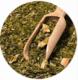 VERDE MATE Yerbera Puszka z Verde Mate Cactus de Juarez 0,5kg 9
