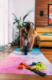 4yourhealth Kółko Roller Do Ćwiczeń Mięśni Brzucha AB Wheel 11