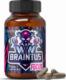 OstroVit OstroVit Braintus Focus 90 kapsułek wsparcie pracy mózgu 1