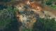 SpellForce III Reforced PS4 4