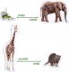 Maksik Magnesy Zoo MV 6032-02 6