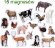 Maksik Magnesy farma MV 6032-04 1