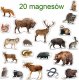 Maksik Magnesy Mieszkańcy lasu MV 6032-09 3