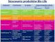 Bio-Life HOME CLEANSE™ (BLF06774) 1