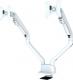 Neomounts Uchwyt biurkowy na 2 monitory 10" - 32" (FPMA-D750DWHITE2) 1