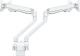 Neomounts Uchwyt biurkowy na 2 monitory 10" - 32" (FPMA-D750DWHITE2) 2
