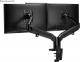 Neomounts Uchwyt biurkowy na 2 monitory 17" - 32" (DS70-810BL2) 13