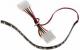 Lamptron Flexlight Pro 24 diody LED Pomarańczowy (LAMP-LEDPR2406) 1