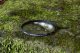 Filtr Hoya Hoya Fusion -Antistatic Next UV Filter 49mm 3