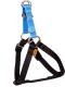 Dingo Fred Energy rozmiar 40 szer. 1 cm Niebieskie (94627) 1