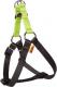 Dingo Fred Energy rozmiar 60 szer. 1.6 cm Zielone (94614) 1