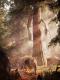Far Cry 4 + Far Cry Primal PS4 2