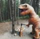 Braders Nadmuchiwany kostium strój dinozaura T-REX gigant 3