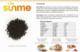 Sunme Czarnuszka (kminek czarny) 5 kg 2