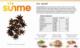 Sunme Anyż - gwiazdka 1 KG 3