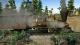Transport Fever PC 2