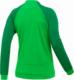 Nike Bluza damska NK Dri-FIT Academy Trk Jkt K zielona DH9250 329 L 2