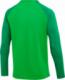 Nike Bluza męska Nike NK Dri-FIT Academy Drill Top K zielona DH9230 329 S 1