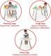 Skip Hop Stolik interaktywny 3w1 Explore & More 4