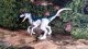 Figurka Mattel Jurassic World Figurka dinozaura Ekstremalne obrażenia GWN13 GWN14 GWN15 GWN16 MATTEL mix cena za 1 szt 7