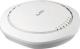 Access Point ZyXEL NAP303 CLOUD (NAP303-ZZ0101F) 3