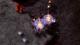 StarCraft II - Battle Chest PC 7