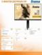 Monitor iiyama G-Master GB2790QSU-B1 Gold Phoenix 1
