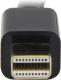 Kabel StarTech DisplayPort Mini - HDMI 3m czarny (MDP2HDMM3MB) 3