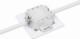 Intellinet Network Solutions Intellinet Gniazdo sieciowe podtynkowe 2x RJ45 Cat6 10G, STP, białe 6