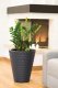 Form-Plastic FLOWER POT DIAMOND 2920 D40 014 2