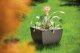 Form Plastic FLOWER POT MUNA D30 3300-011+059 8