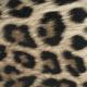 Art of Polo Nerka Jungle drums NoSize 10
