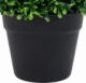 vidaXL vidaXL Kule ze sztucznego bukszpanu w doniczce, 2 szt., zielone, 27 cm 5