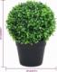 vidaXL vidaXL Kule ze sztucznego bukszpanu w doniczce, 2 szt., zielone, 27 cm 6