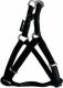 Zolux Szelki regulowane Mac Leather 20 mm - czarny 2