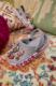 Crocs Buty Chodaki Klapki Crocs Bayaband 205089 37-38 9