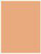 Revlon Nearly Naked Makeup SPF20 Podkład 200 Warm Beige 30ml 2