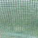 DWM TUNEL FOLIOWY - SZKLARNIA OGRODOWA AUREA 2X2M 6