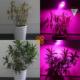 Retoo LAMPA PANEL 200 LED DO UPRAWY ROŚLIN 20W WZROSTU 14