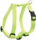 Zolux Szelki nylon regulowane 10 mm - seledynowy 1