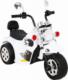 DWM MOTOREK HOT CHOPPER BIAŁY 9