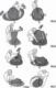 Namiot turystyczny Cattara CM65324 5