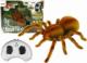 Lean Sport Zdalnie Sterowany Pająk Tarantula Podczerwień Brązowy R/C 1
